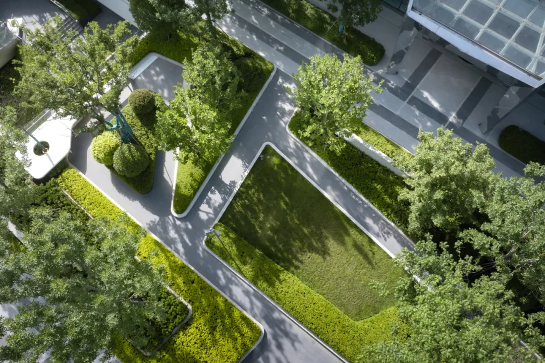 1735531151955922.jpg 1735531131682.jpg