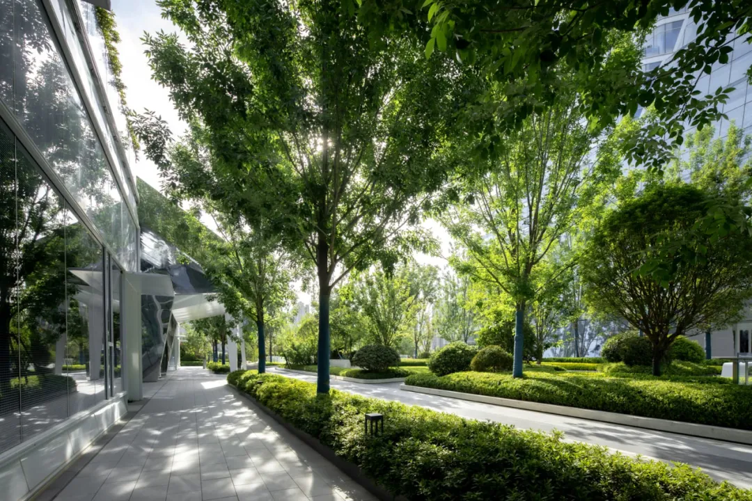 1735531159162619.jpg 1735531135452.jpg