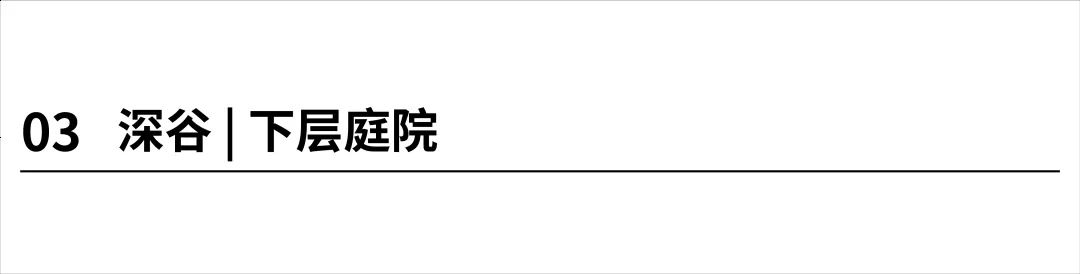 1735531167461292.jpg 1735531139466.jpg