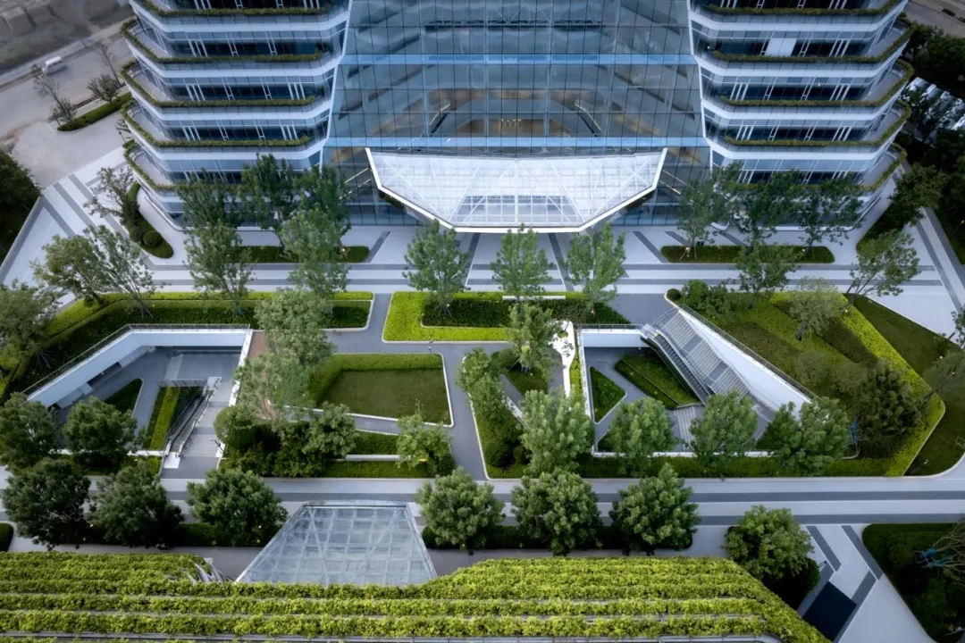 1735531195621214.jpg 1735531177632.jpg