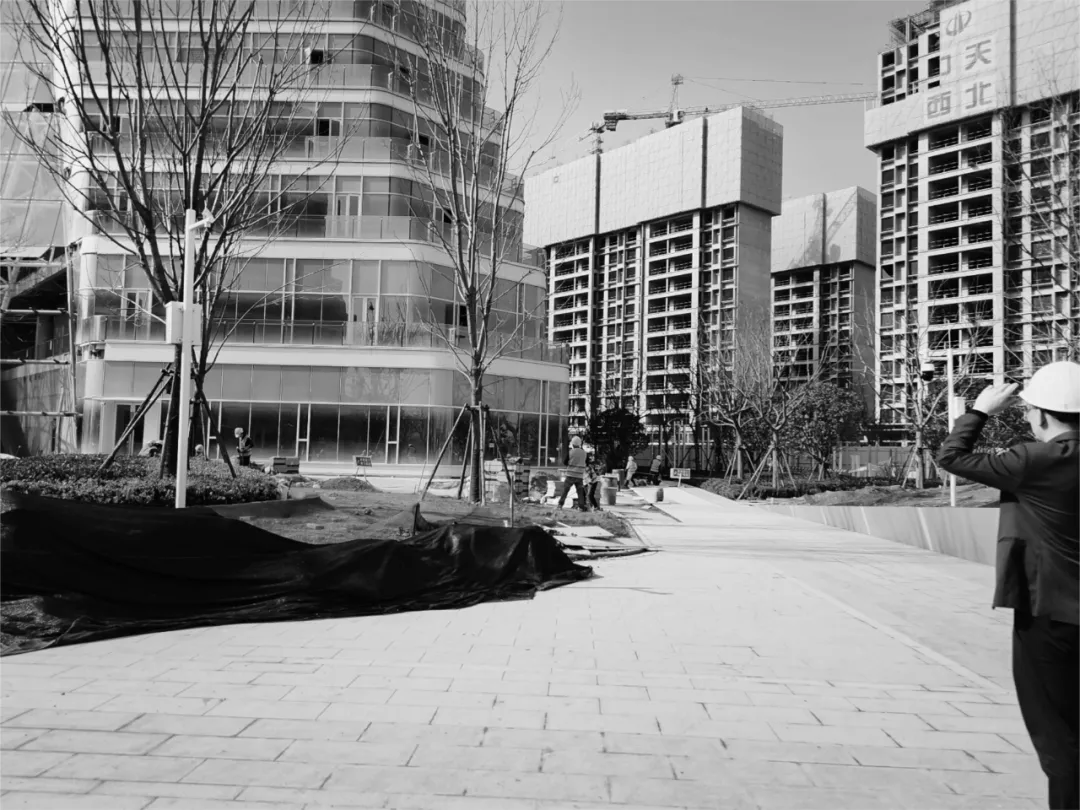 1735531223149795.jpg 1735531210682.jpg