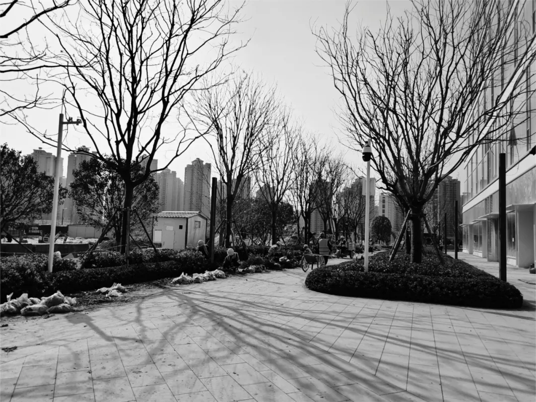 1735531234125482.jpg 1735531217715.jpg