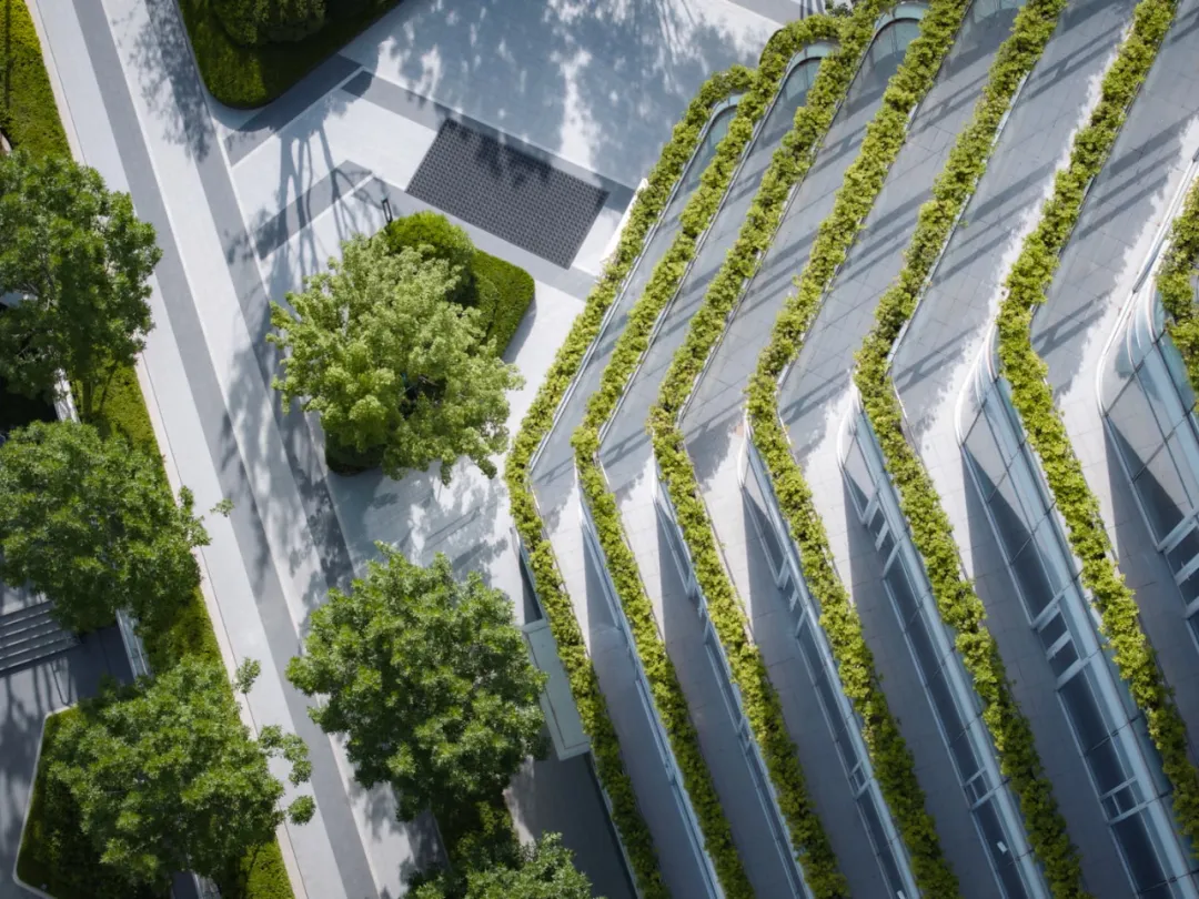 1735531266999433.jpg 1735531246073.jpg