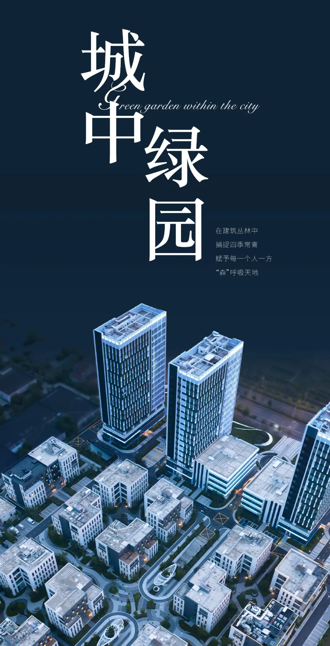 1735538842653231.jpg 1735538648861.jpg