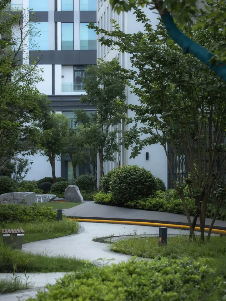 1735538854204702.jpg 1735538655973.jpg