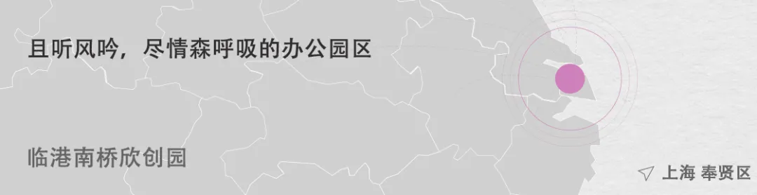 1735538858121165.jpg 1735538660762.jpg