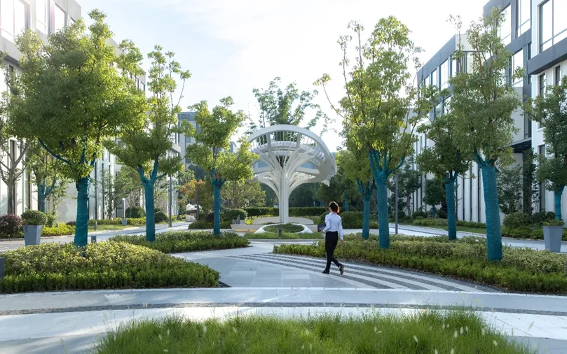 1735538899205990.jpg 1735538712573.jpg