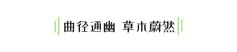 1735539048213416.jpg 1735539041005.jpg