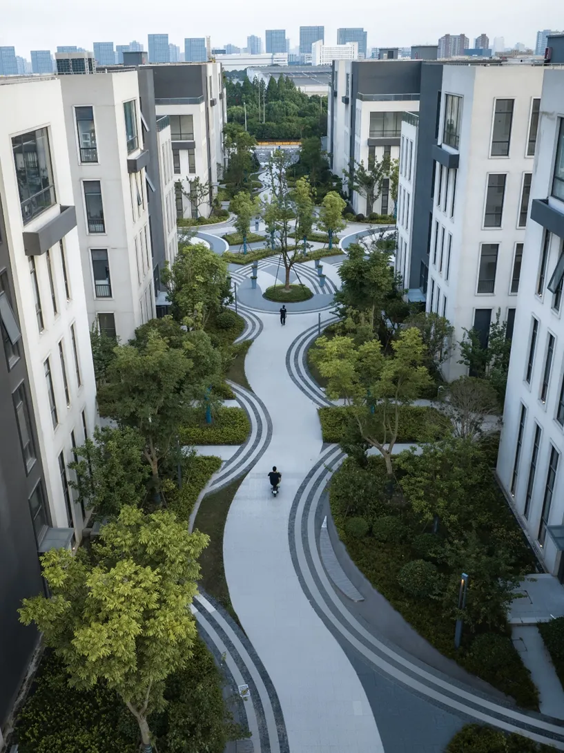 1735539084598954.jpg 1735539066820.jpg