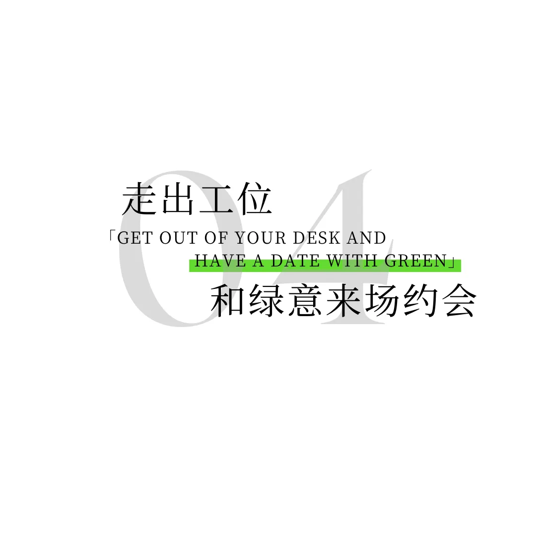 1735539109456186.jpg 1735539100494.jpg