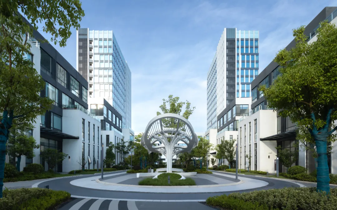 1735539129198084.jpg 1735539116250.jpg