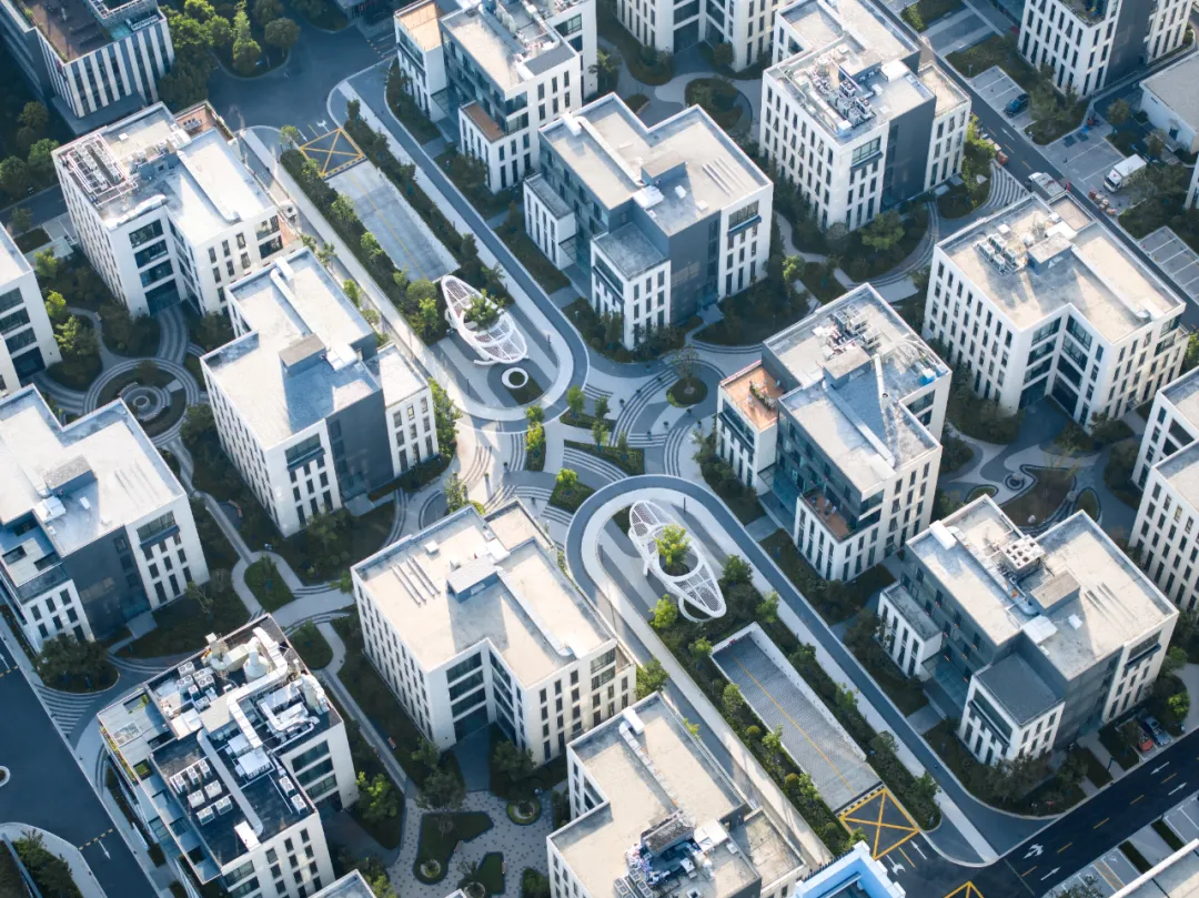 1735539138486239.jpg 1735539122195.jpg