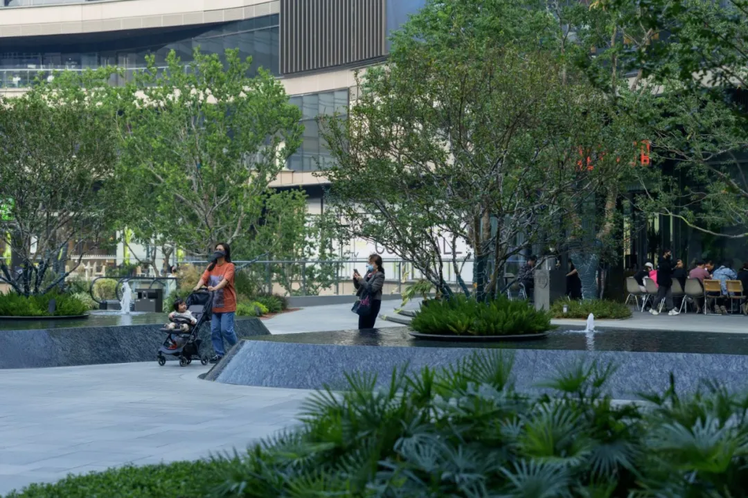 1735539887147097.jpg 1735539863679.jpg