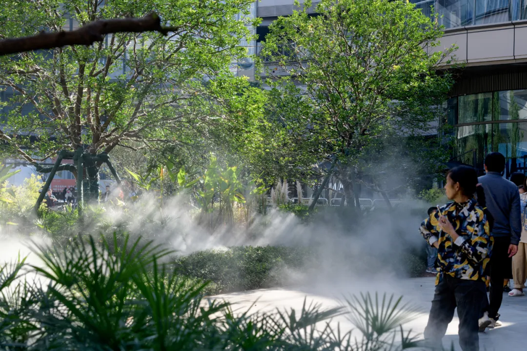 1735539958185747.jpg 1735539949029.jpg