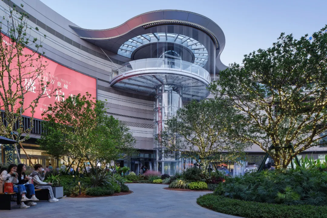 1735540001147345.jpg 1735539989481.jpg