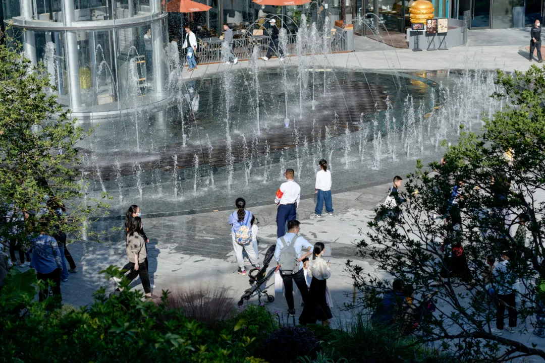 1735540019165425.jpg 1735540013734.jpg