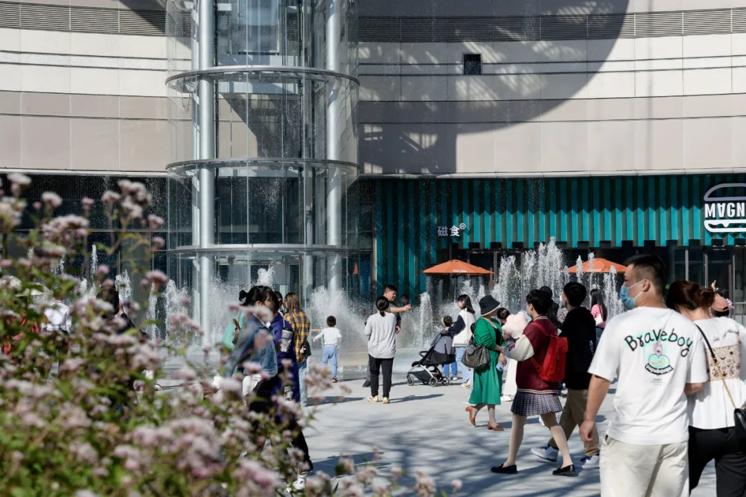 1735540024199296.jpg 1735540017229.jpg