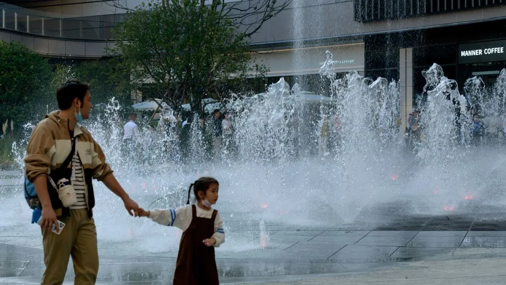 1735540047208459.jpg 1735540038618.jpg