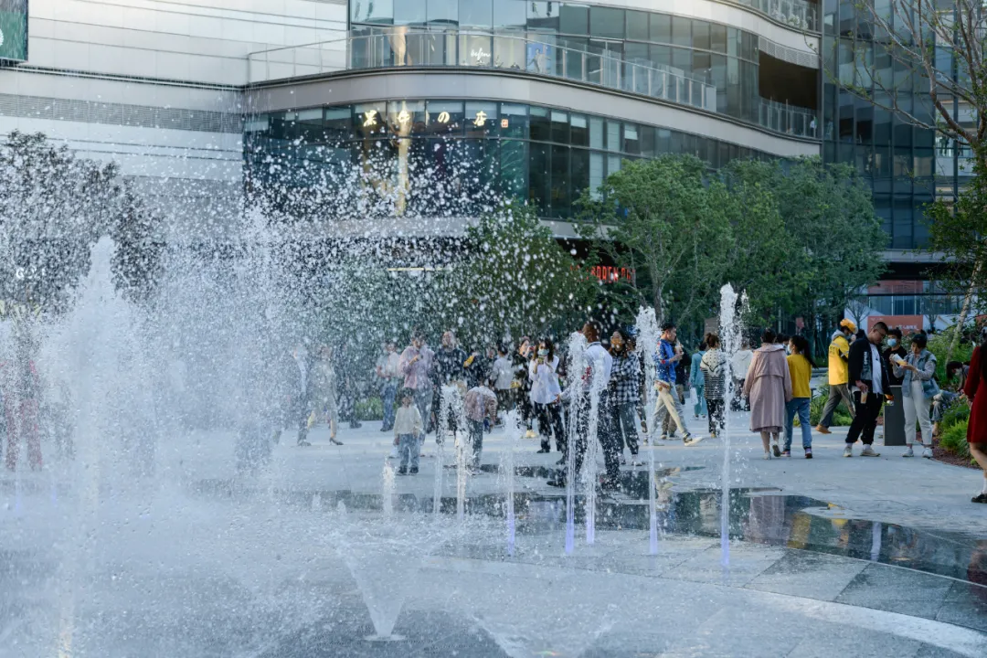 1735540052163349.jpg 1735540040671.jpg