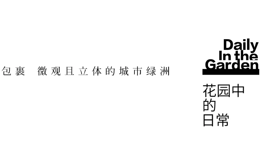 1735540062207050.jpg 1735540059332.jpg