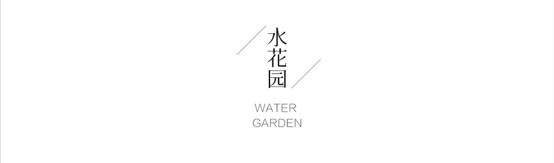 1735540074459699.jpg 1735540069294.jpg