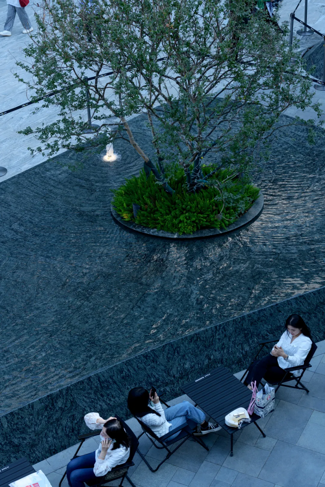 1735540101942912.jpg 1735540085675.jpg