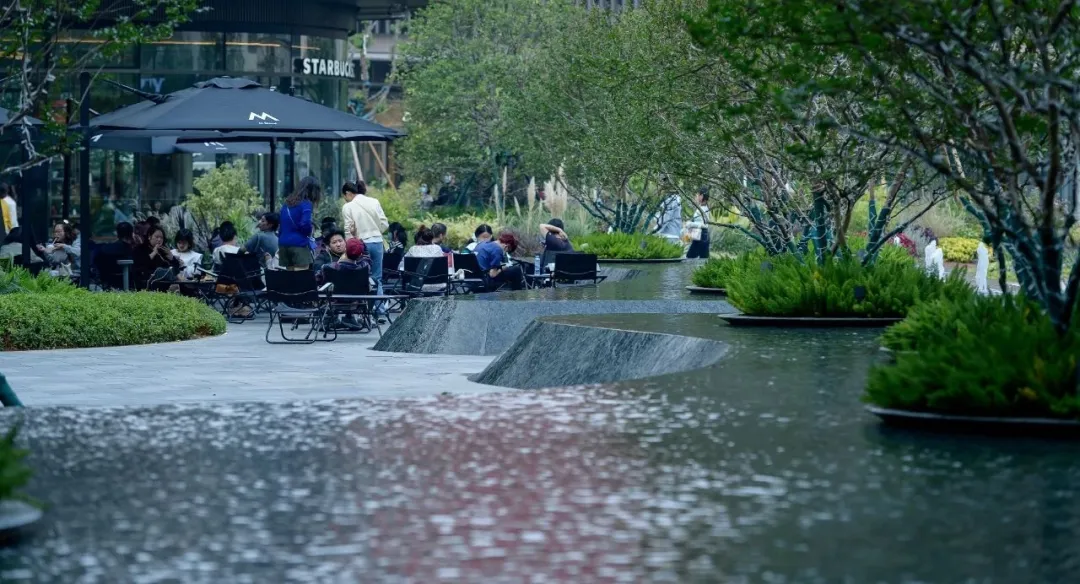 1735540116146711.jpg 1735540113724.jpg