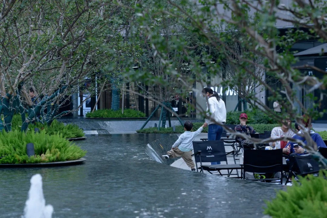 1735540128176807.jpg 1735540125401.jpg