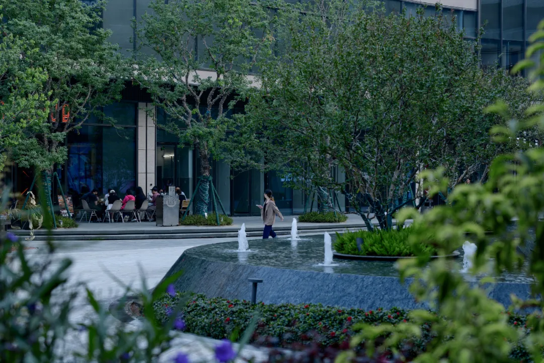 1735540155152045.jpg 1735540151190.jpg