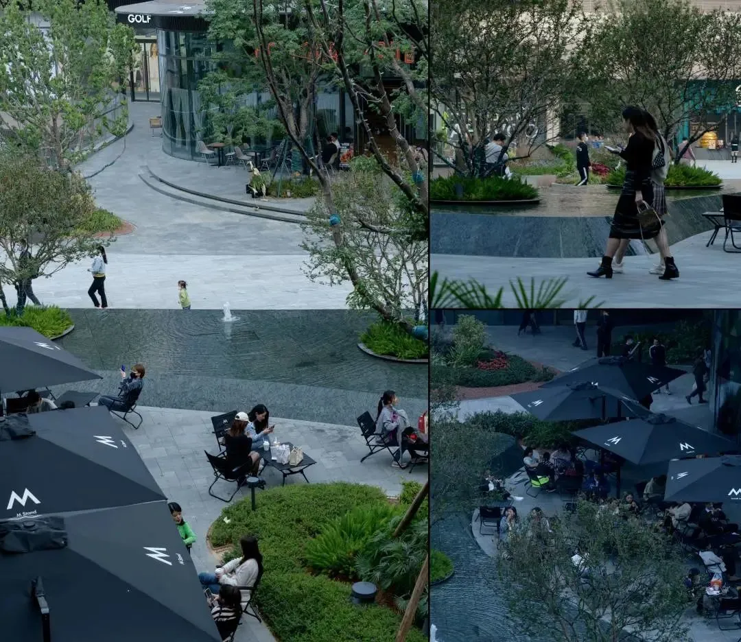 1735540160996509.jpg 1735540153024.jpg