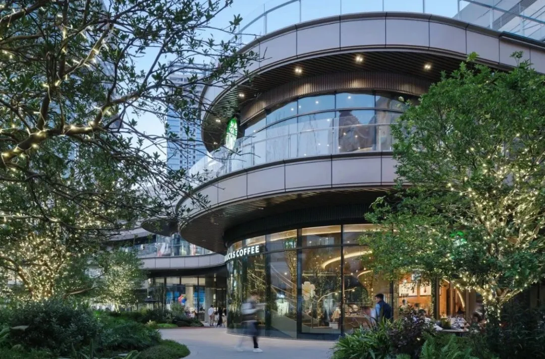 1735540197149666.jpg 1735540181306.jpg