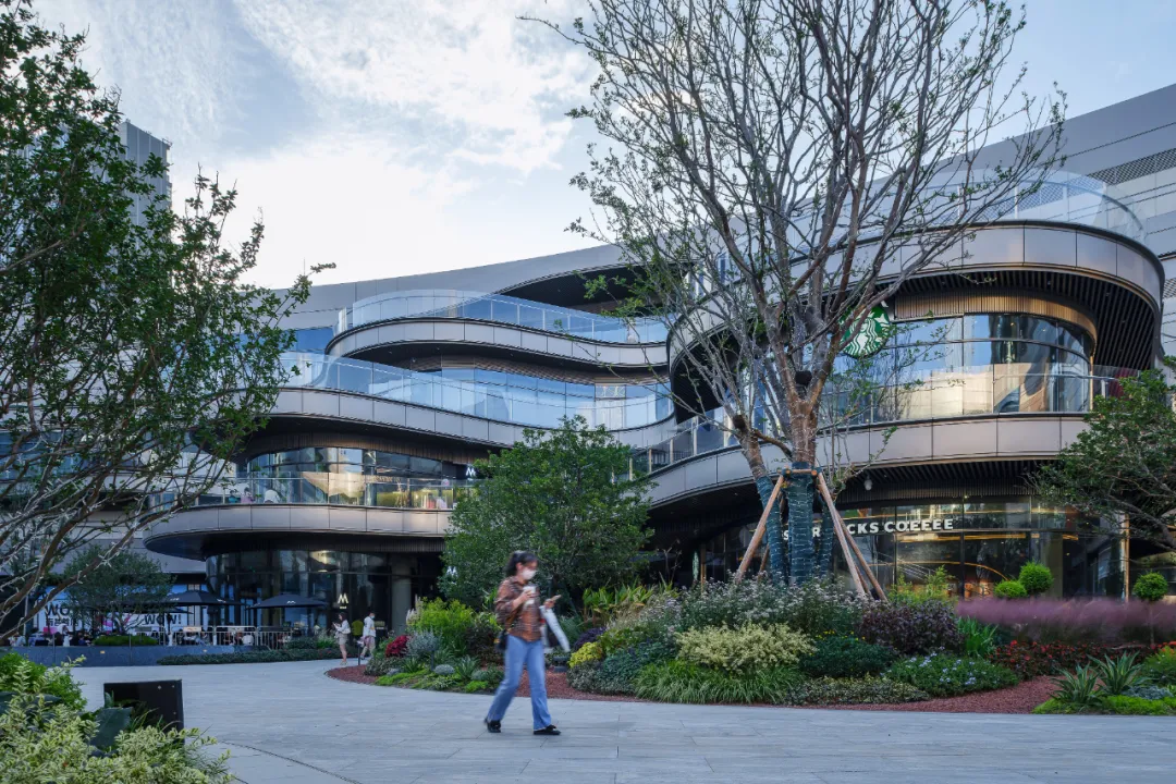 1735540201792915.jpg 1735540182997.jpg