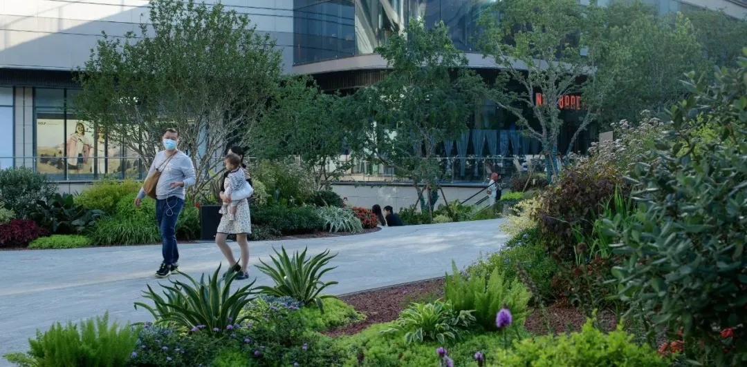 1735540207109158.jpg 1735540186709.jpg