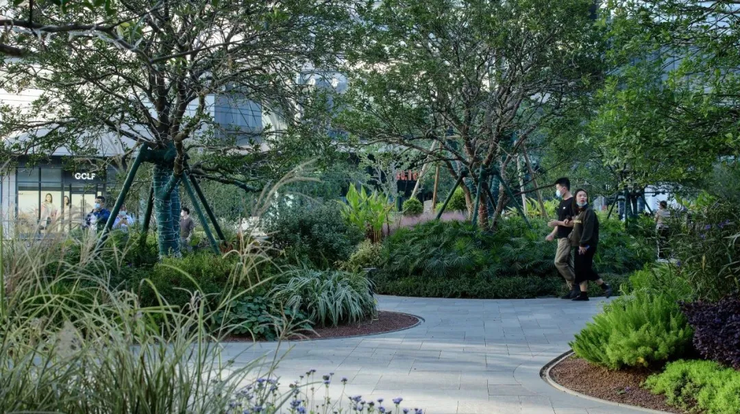 1735540213938459.jpg 1735540189159.jpg