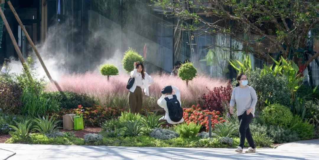 1735540233490543.jpg 1735540230887.jpg