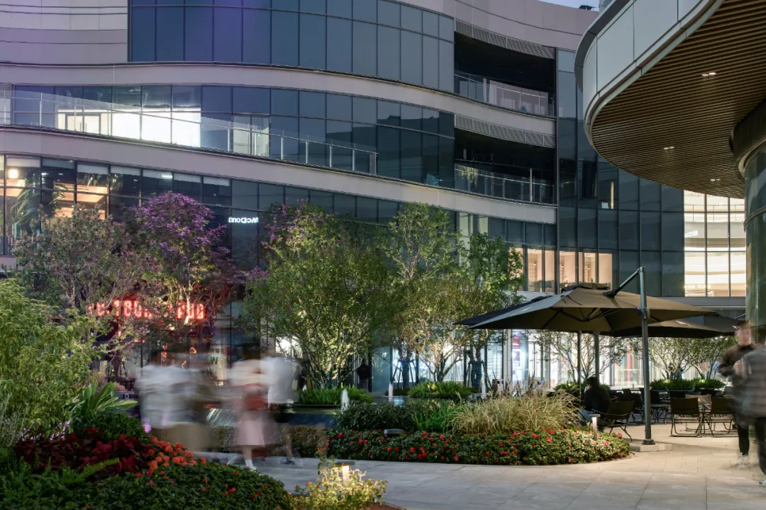 1735540252553817.jpg 1735540243381.jpg