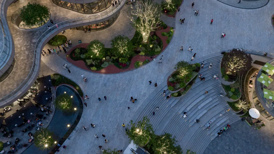 1735540256309044.jpg 1735540245323.jpg