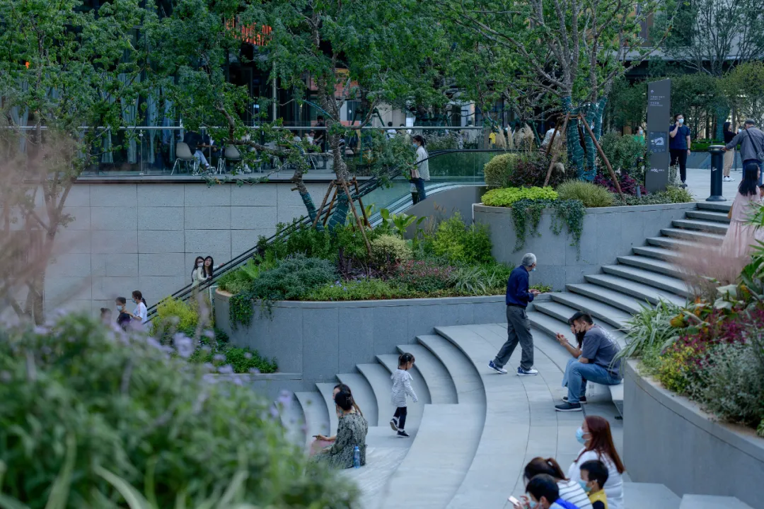 1735540288419636.jpg 1735540285483.jpg