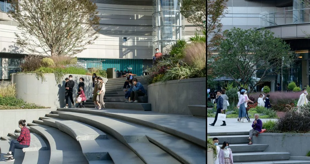 1735540325922438.jpg 1735540316712.jpg