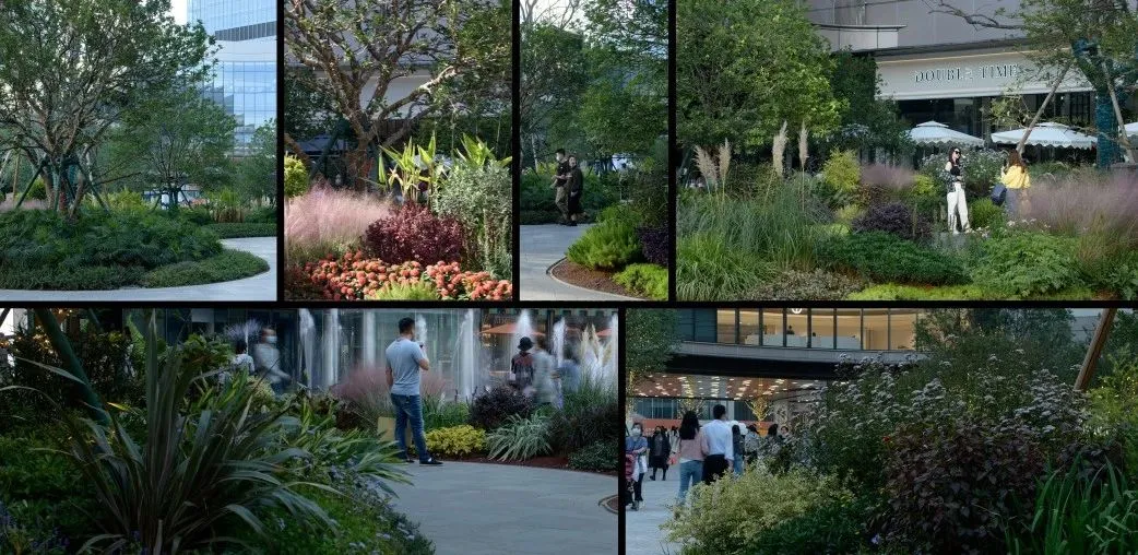 1735540388193255.jpg 1735540378200.jpg