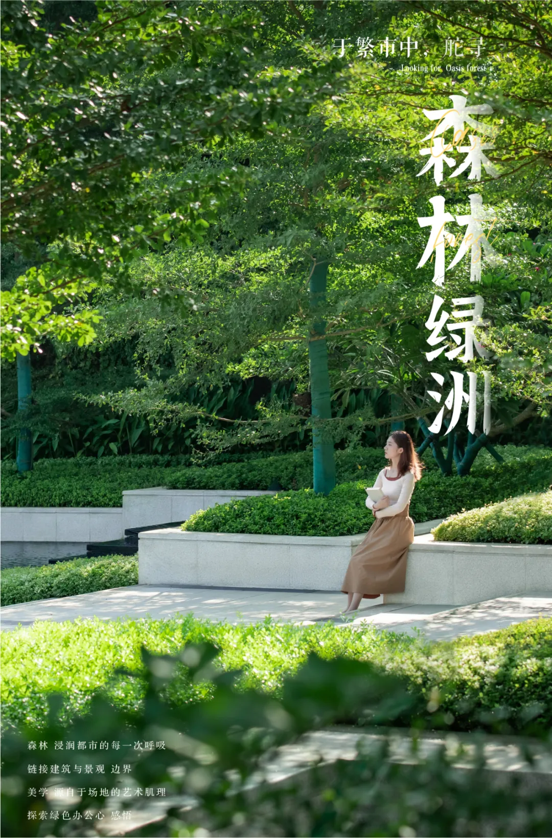 1735541784140949.jpg 1735541758662.jpg