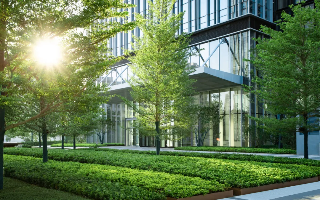 1735541790465919.jpg 1735541763646.jpg