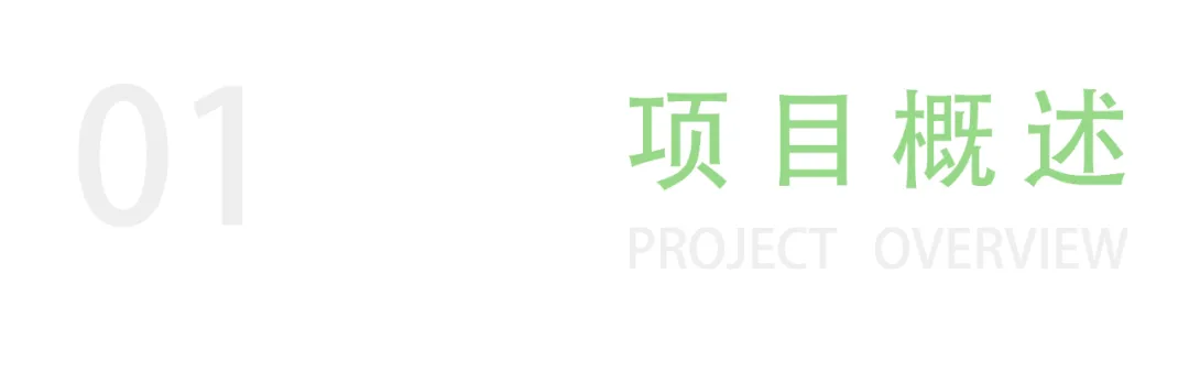 1735541807455500.jpg 1735541775288.jpg