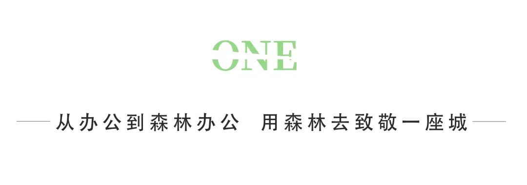 1735541843141055.jpg 1735541821334.jpg