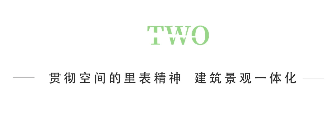 1735541868211697.jpg 1735541859214.jpg