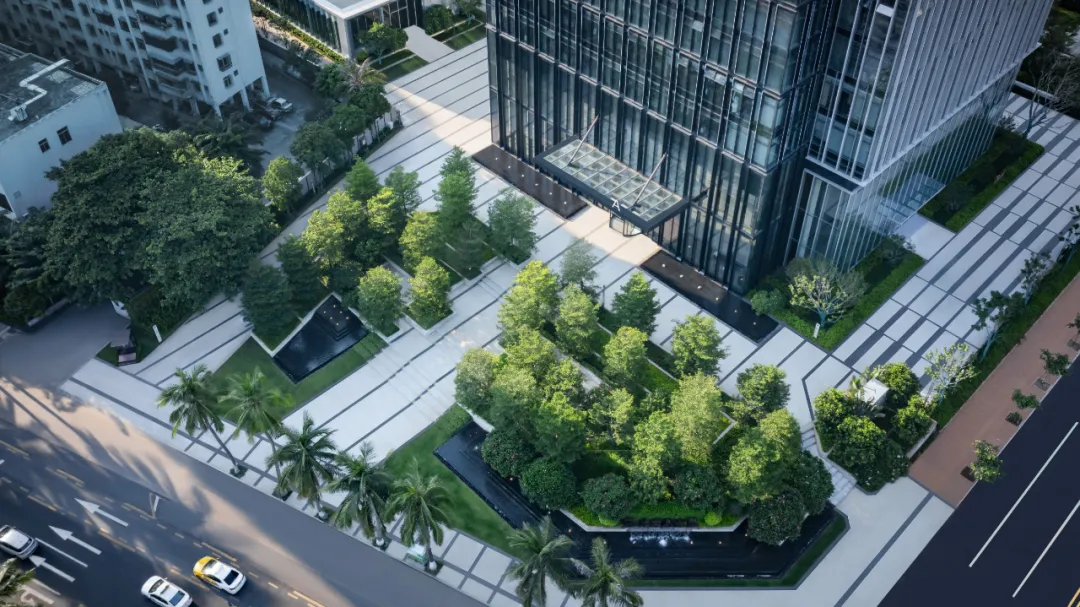 1735541943358559.jpg 1735541932201.jpg