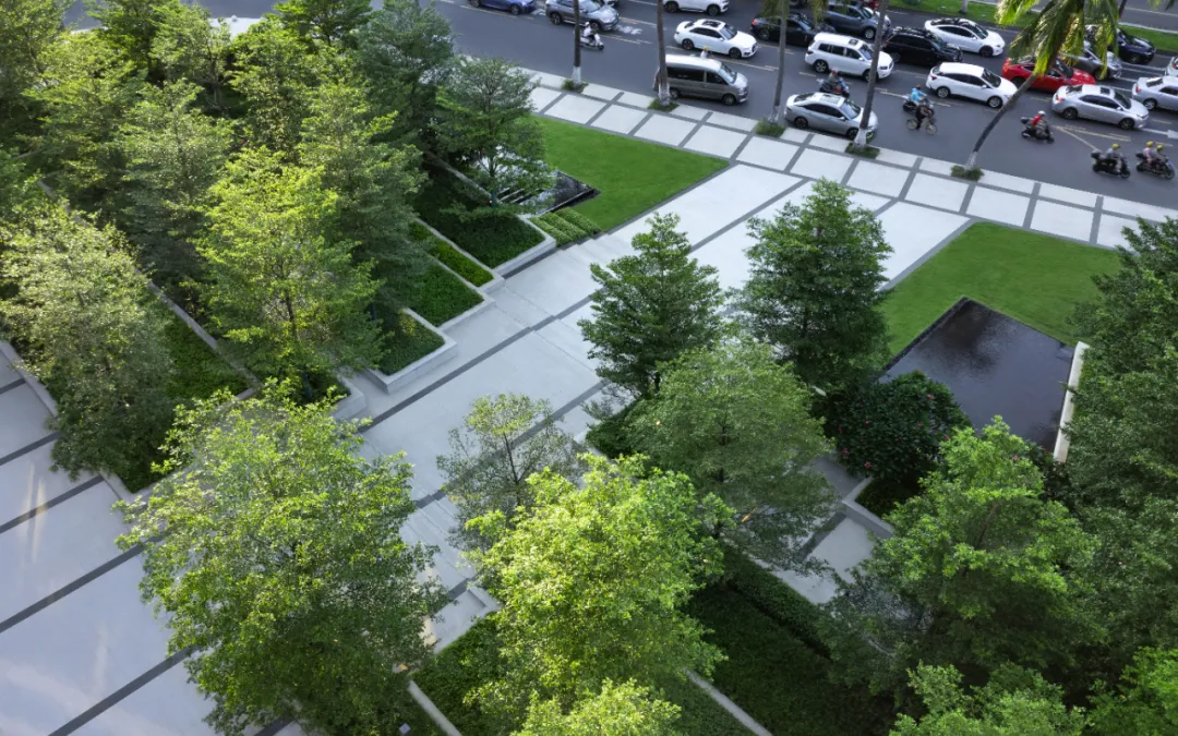 1735541948690826.jpg 1735541935676.jpg