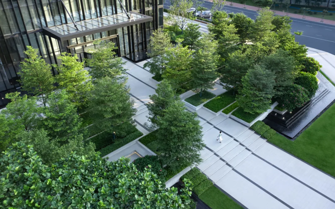 1735541963312254.jpg 1735541959068.jpg