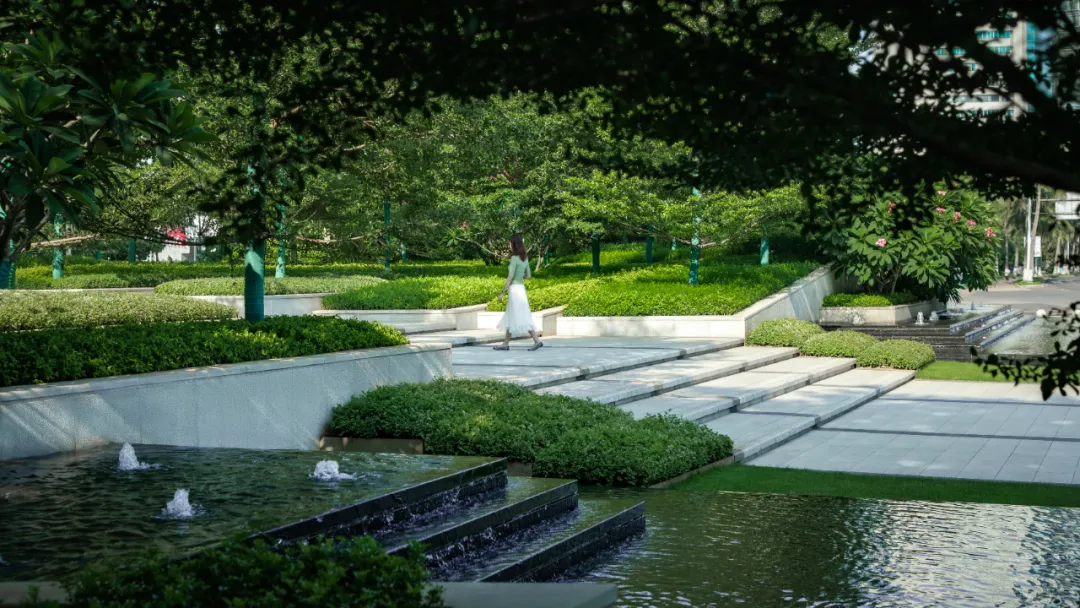 1735541978190127.jpg 1735541974464.jpg