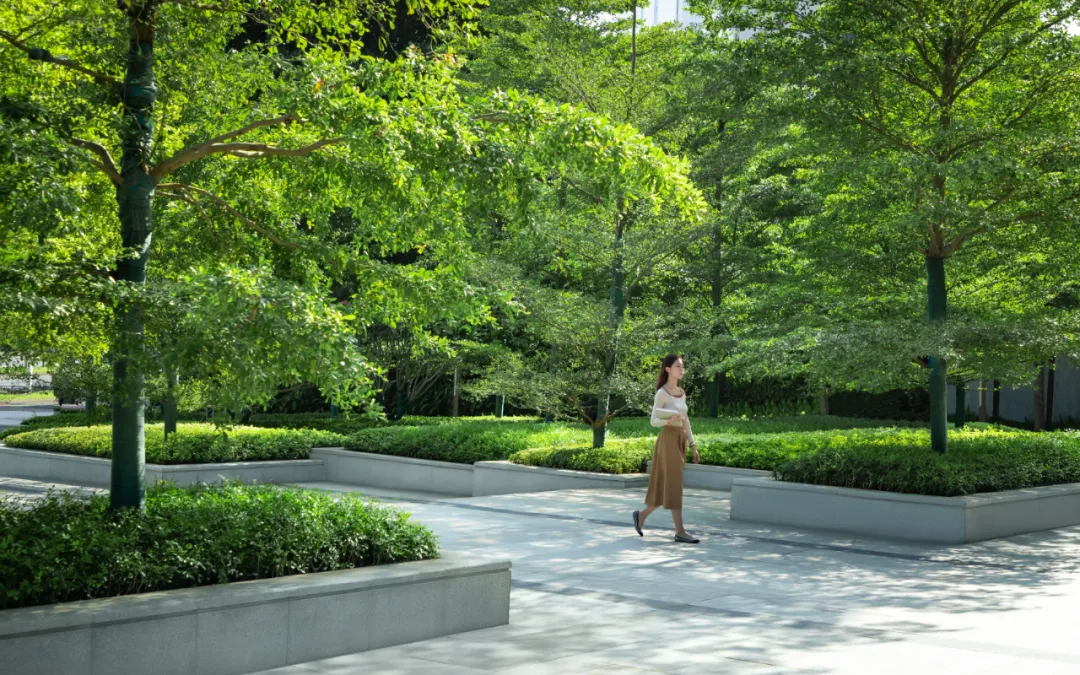 1735541982871369.jpg 1735541976142.jpg